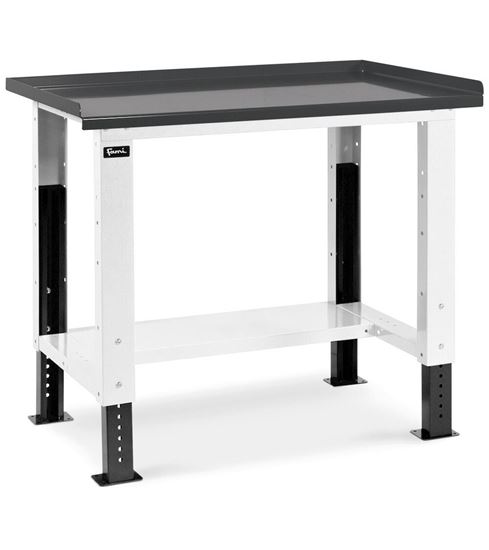 Immagine di FBG01S1000R000